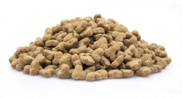 Brokken   006   adult senior light 0