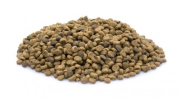 Brokken   155   super premium puppy 1