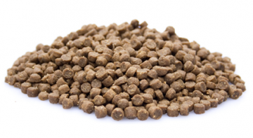 Brokken   premium kitten 0